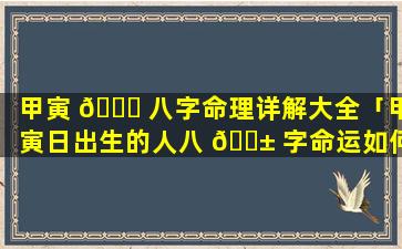 甲寅 🐛 八字命理详解大全「甲寅日出生的人八 🐱 字命运如何」